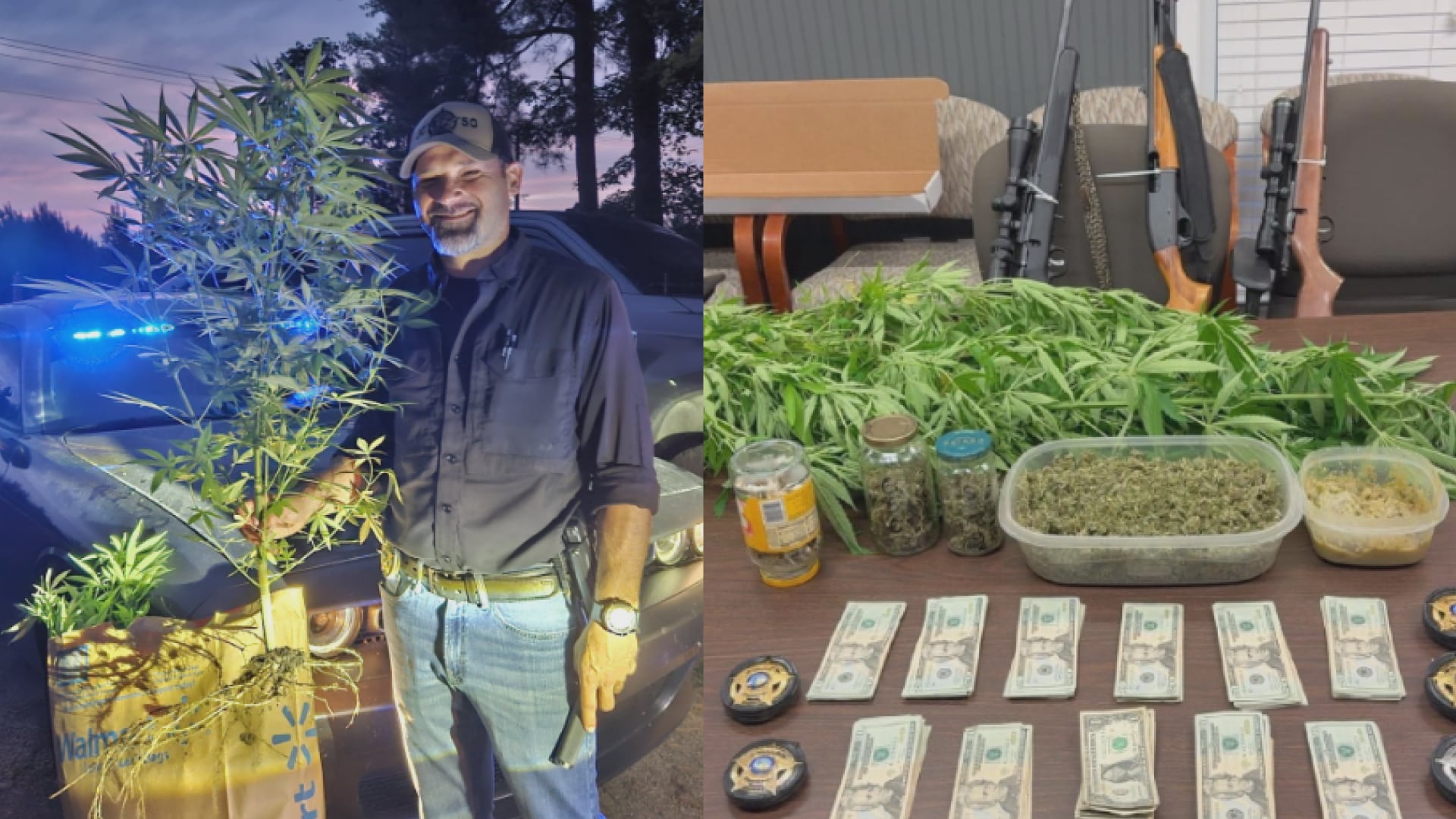 Deputies find several marijuana plants in Jones County while searching for drug suspect