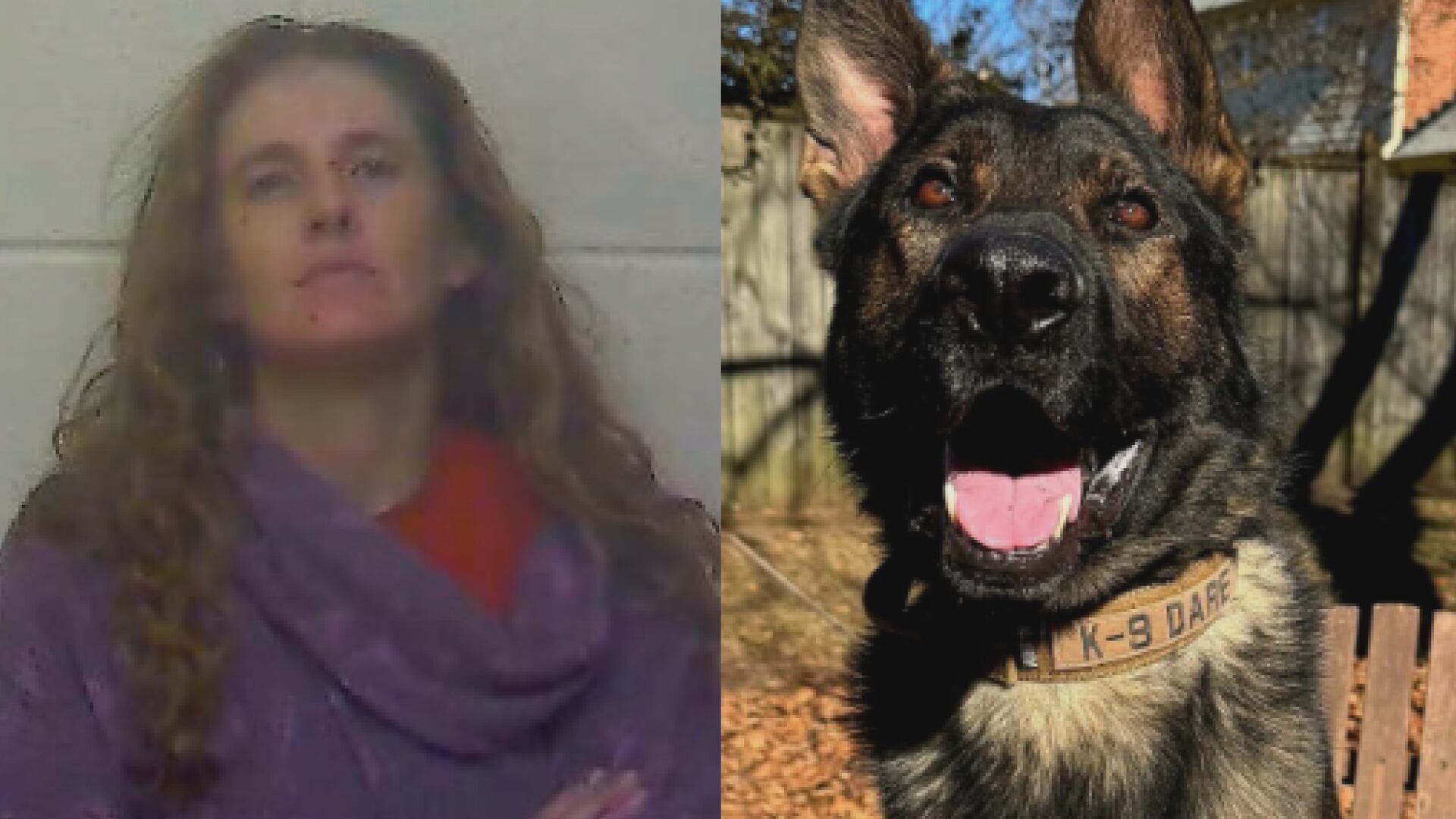 Craven County K9 locates runaway suspect involved in River Bend domestic call