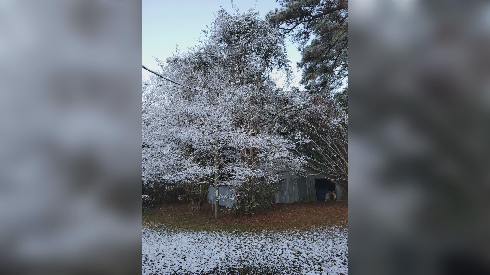 Residents having snow much fun as parts of ENC see first snowfall of the season