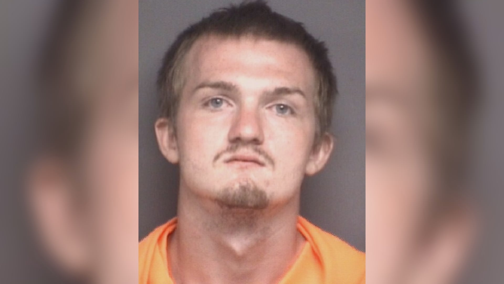 WARRANTS: Beaufort County man arrested for abusing puppy