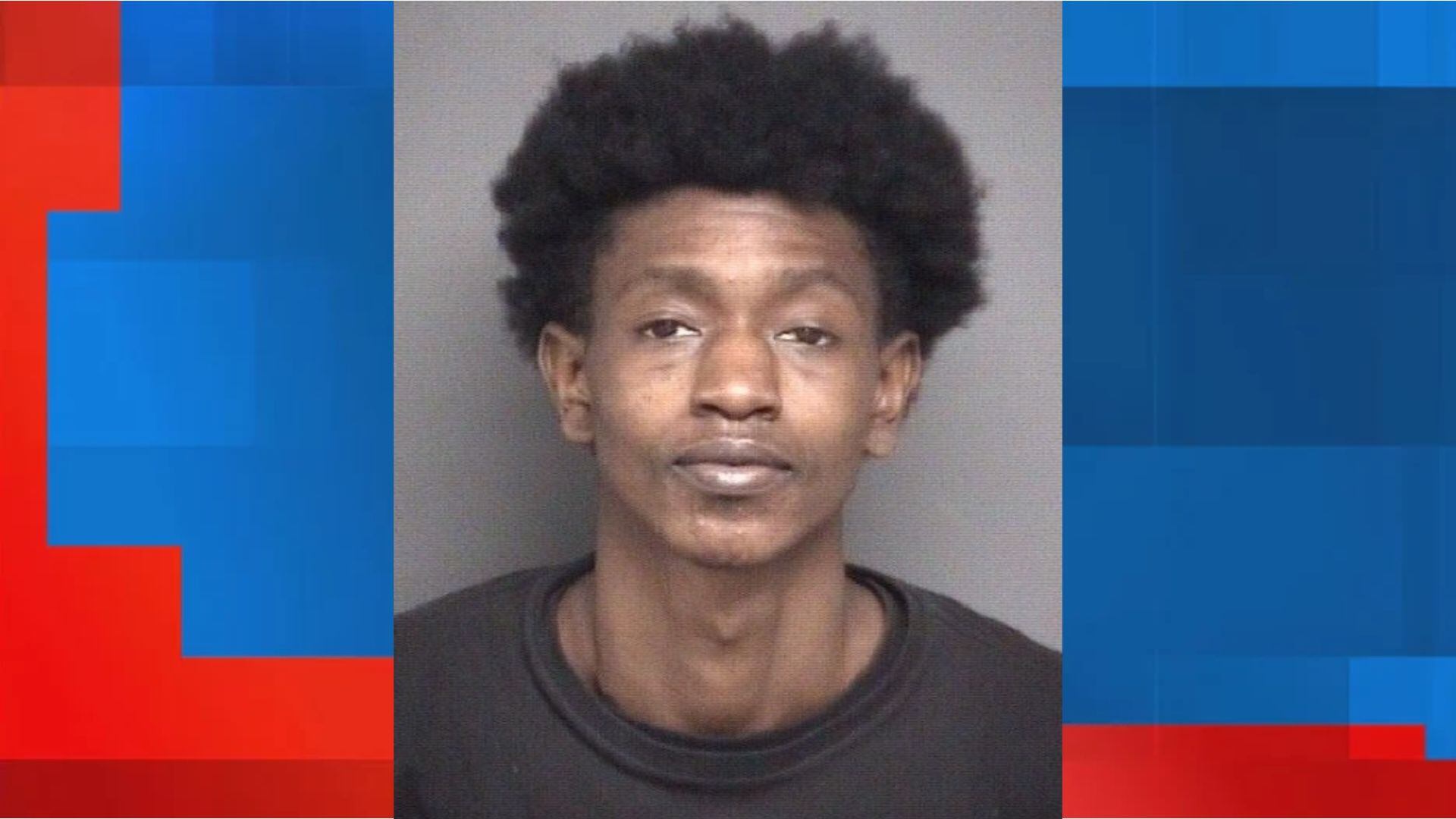 Man Arrested in Greenville, Charged with Strangulation and Domestic Violence