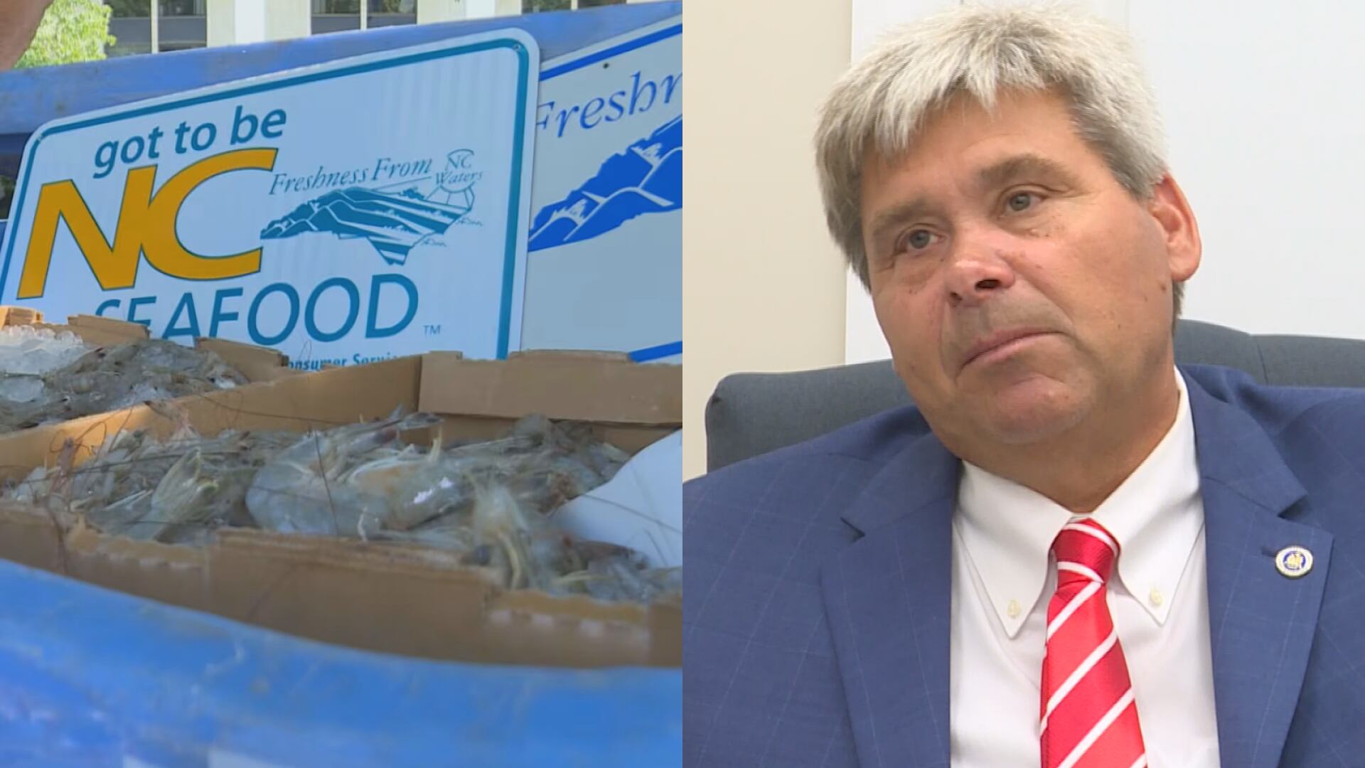 Coastal counties work to form coalition after uniting against shrimp trawling ban