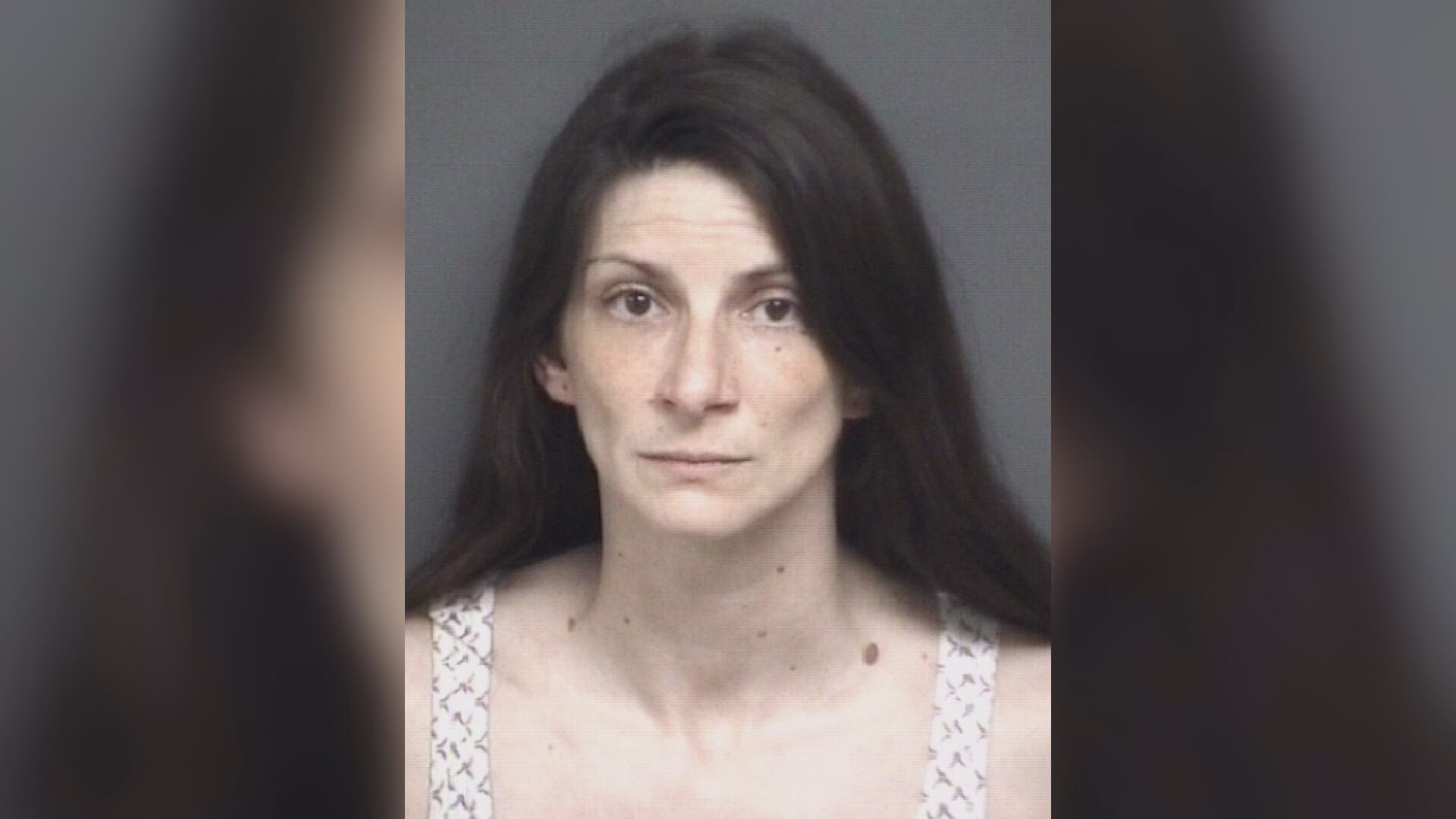 Greenville woman facing dozens of ID theft charges after investigation