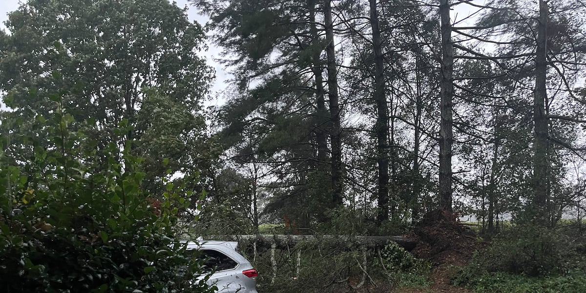 North Carolina Receives Federal Major Disaster Declaration North carolina receives federal major disaster declaration