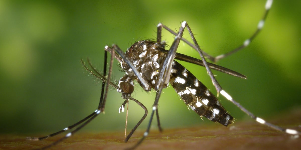 West Nile Virus Detected in Pitt County: What Residents Need to Know