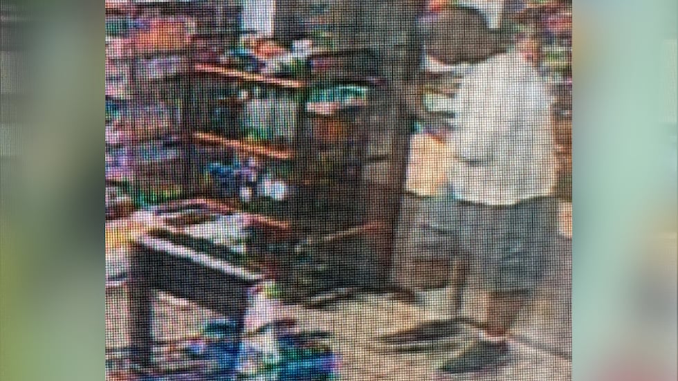 WHO ARE WE? Duo wanted after two thefts at Kinston gas station