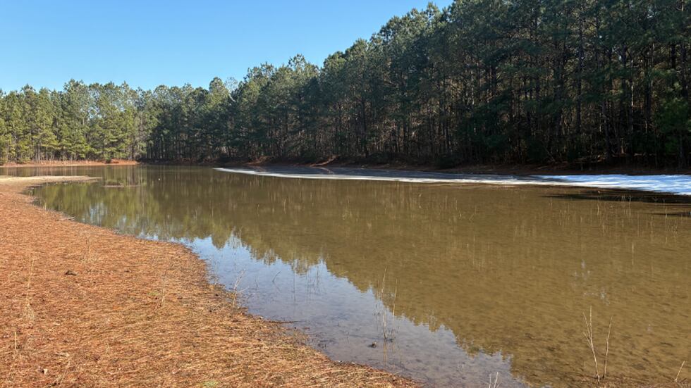 Twin boys drowned Sunday when this pond was ice-covered.