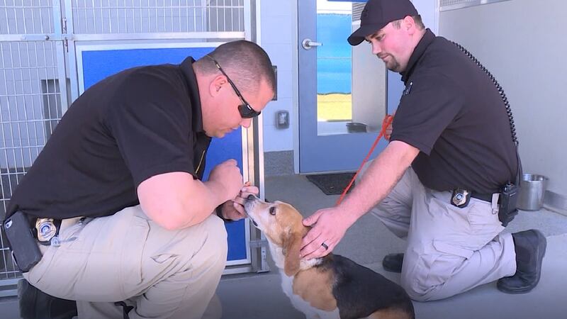 Animal Control officers being recognized this week
