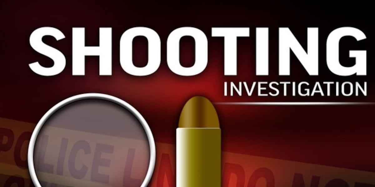 Terminator Shot Through Window Kinston man recovering after being shot through window