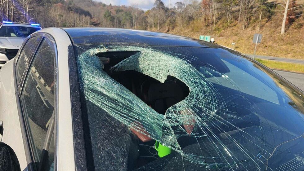 NCHP reports a driver saw a bald eagle drop a cat through their windshield.