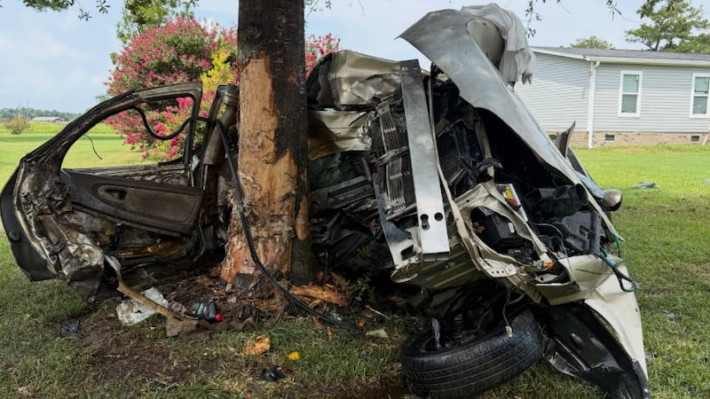 Wayne County crash into tree