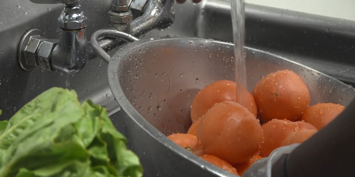 Greenville restaurants take precautions amid diarrhea-causing illness outbreak