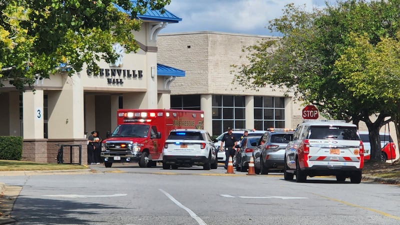 A heavy police presence could be seen outside the Greenville Mall Tuesday afternoon.