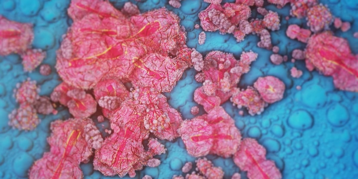 Mpox detected in Pitt County wastewater - WITN