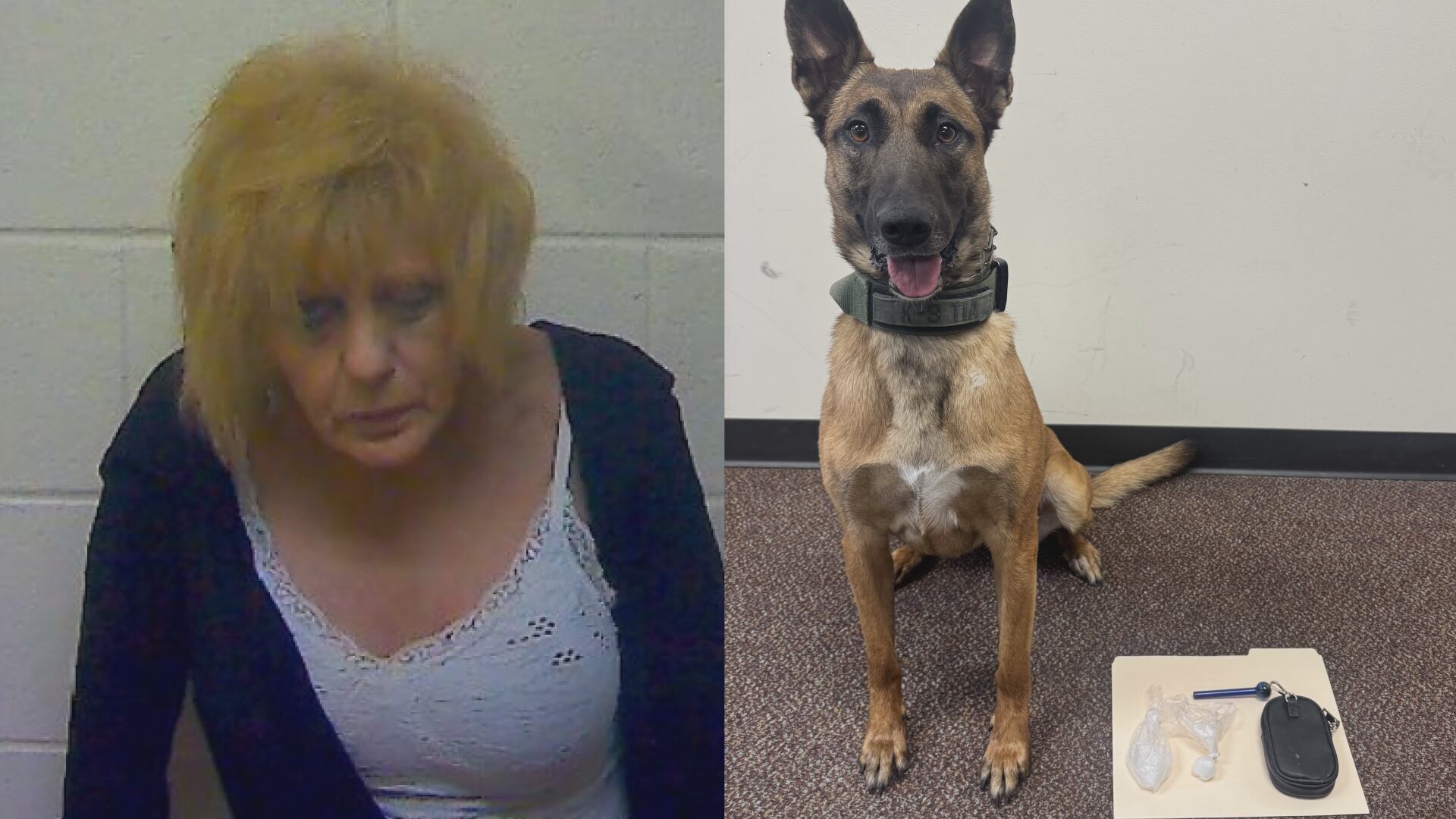 Woman facing drug charges after bust during Craven County traffic stop
