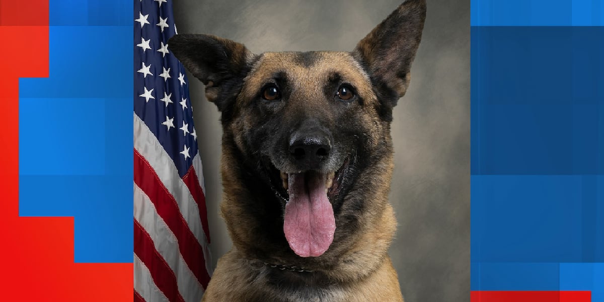 Retired Pitt County K9 handler and veteran speak out on K9 death