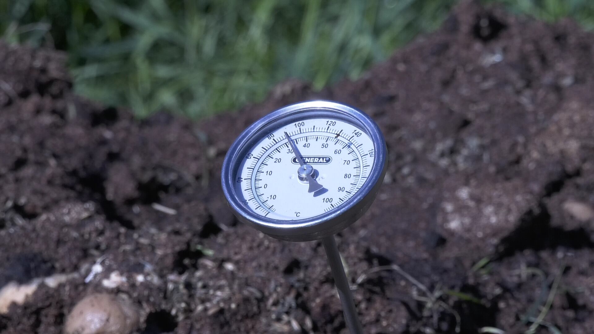 Take up composting this Earth Day