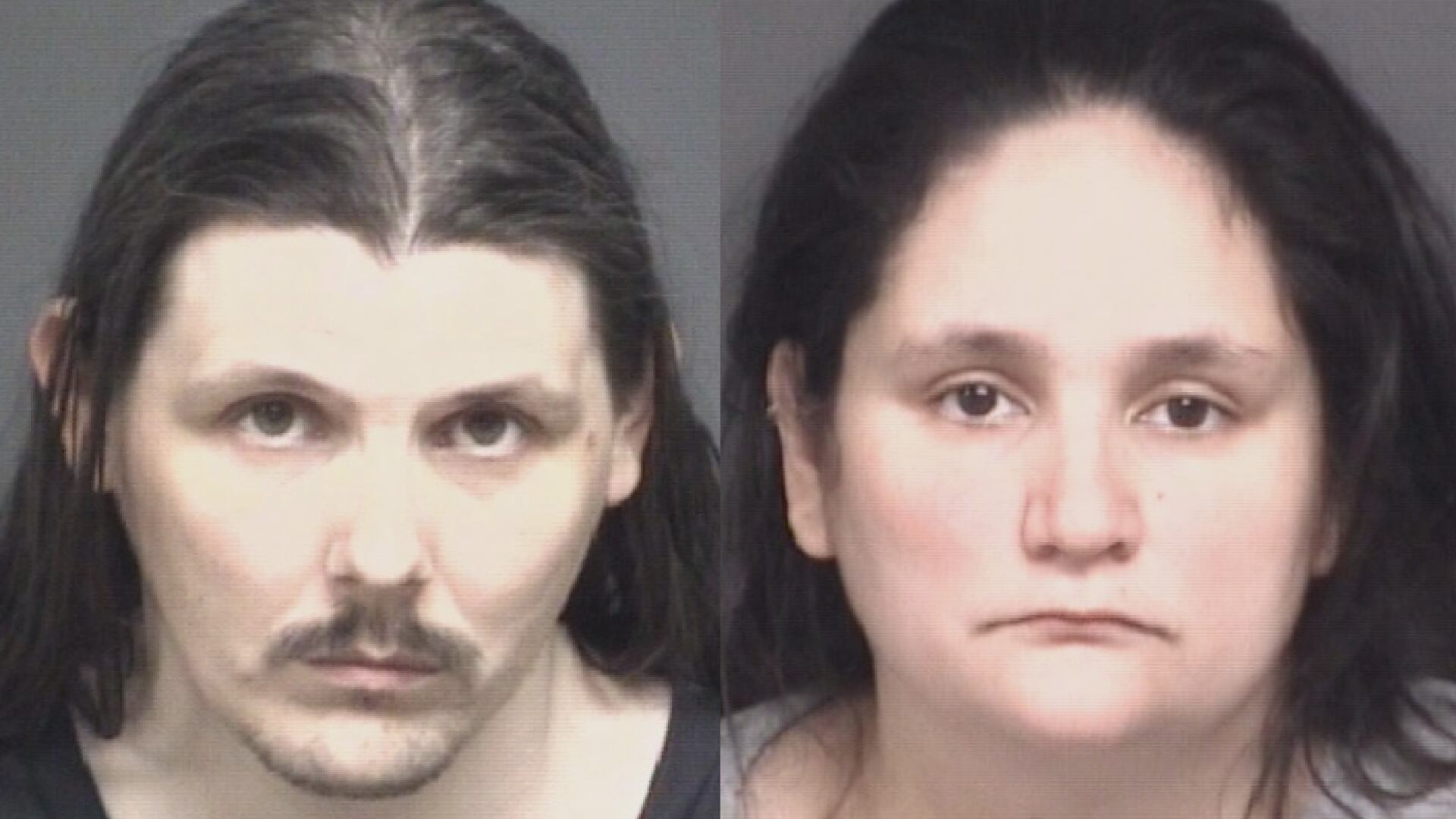 Couple arrested on multiple child porn charges in Pitt County