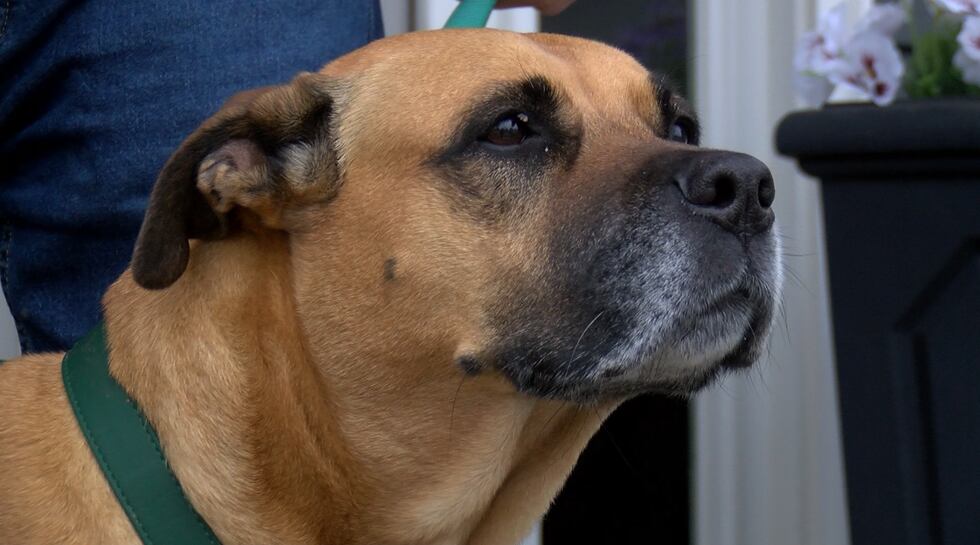 Gozier is being hailed a hero after saving a woman's life.