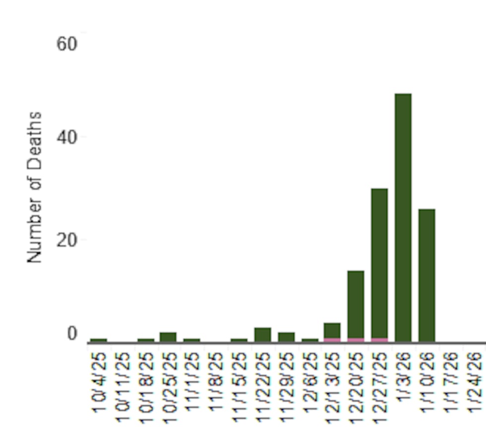 Flu deaths so far this season
