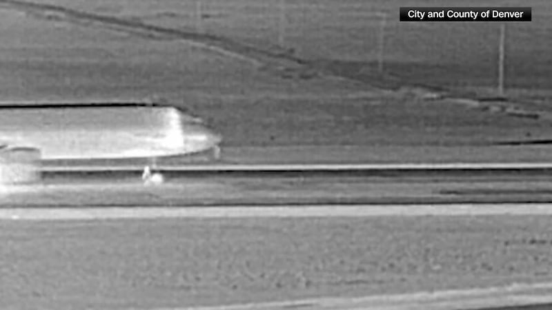 Officials say the person jumped an airport perimeter fence minutes before the incident. (CNN,...