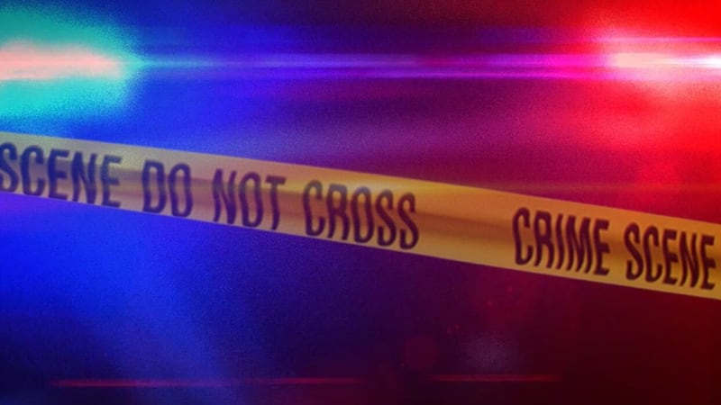 Goldsboro man charged with multiple counts of child porn possession