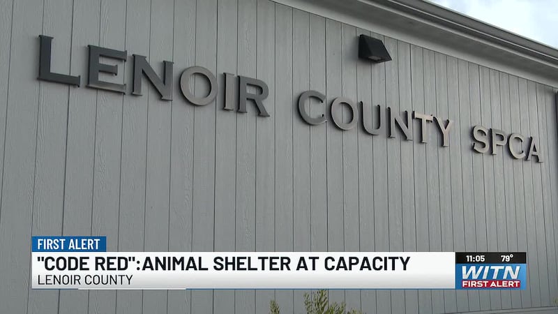 “Code red”: How you can help Lenoir County shelter after reaching capacity