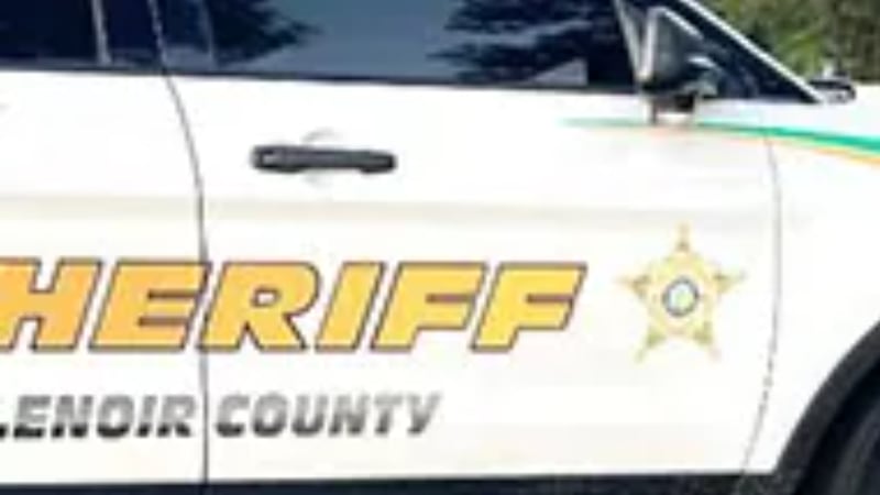 DEPUTIES: La Grange teen charged after reports of vehicle break-ins