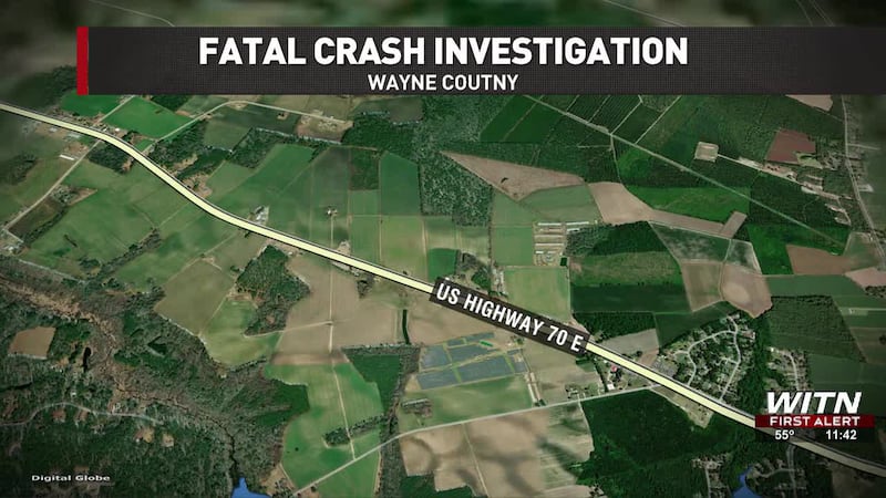 Man killed in Wayne County crash after truck crashes into tree