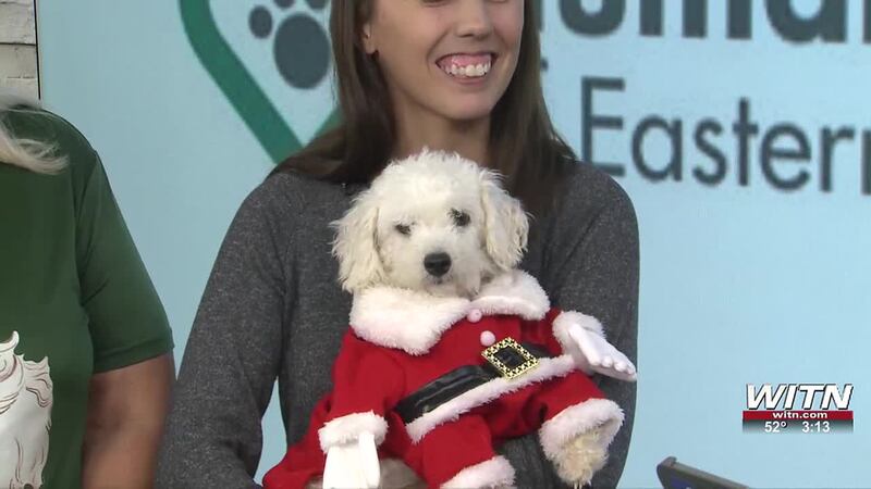 Humane Society of Eastern Carolina holds gift-wrapping event at Greenville mall
